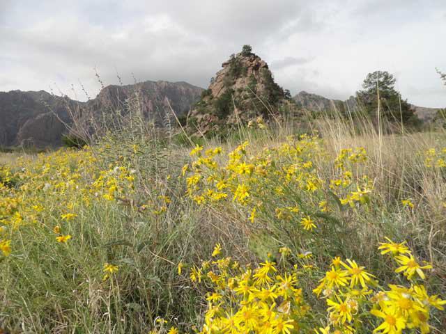 Visit Big Bend